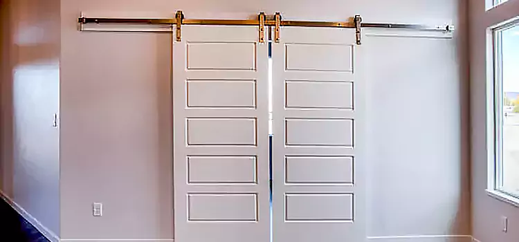 Glass Barn Door with Installation Hardware Kit New Hope